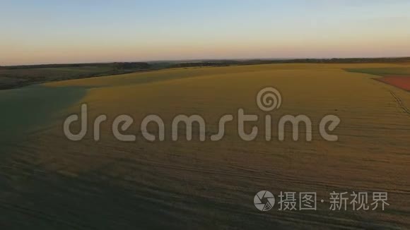 日落时景观和田野的鸟瞰图