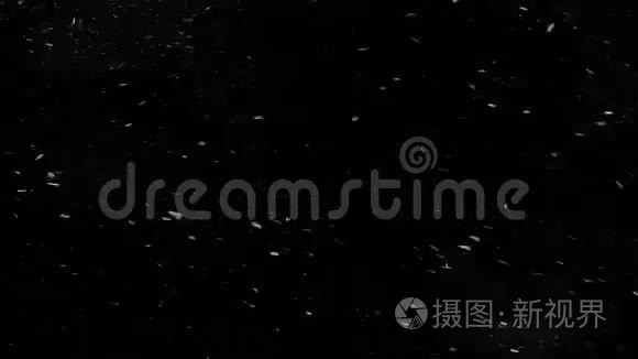 从左到右飘落的雪