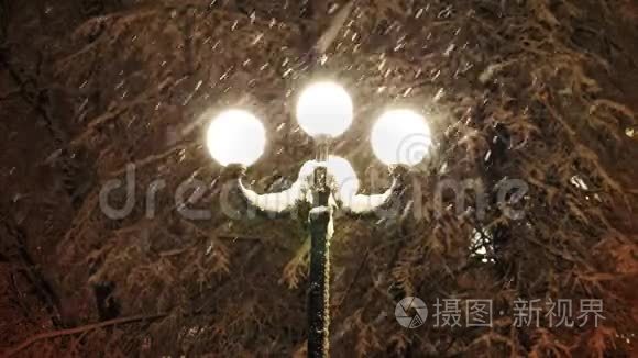 路灯照下美丽的大雪视频