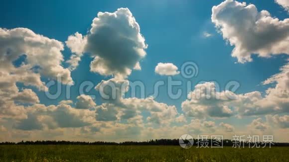 美丽的时光在夏日的美景中流逝视频