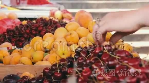 在市场上展示水果视频