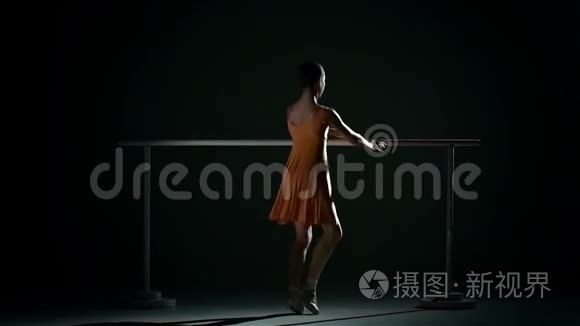 黑色芭蕾舞厅里的小芭蕾舞演员视频