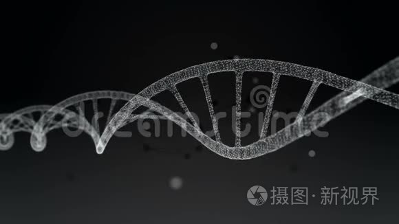 人类DNA。 摘要黑色背景与丛。 循环动画