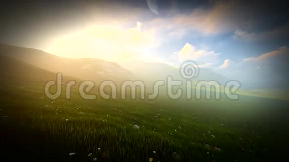 爱尔兰有起伏的山丘和野花的草地视频的预览图