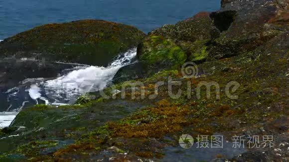 有波浪和岩石的海洋海岸视频