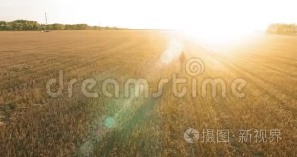 低飞的年轻人游客走过一个巨大的麦田。 举起双手，胜利者，快乐与自由的概念..