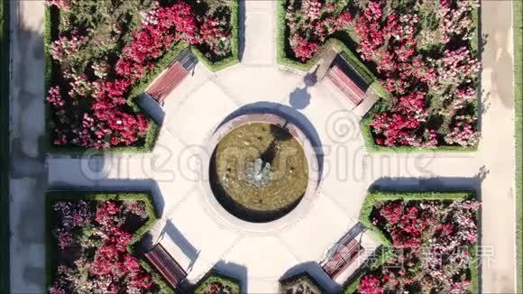 公园玫瑰花园的空中照片视频
