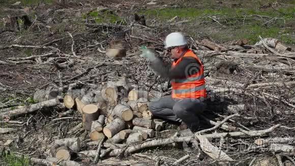 伐木工人在森林里工作视频