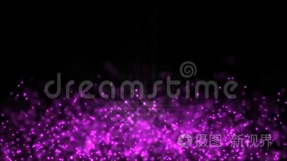 紫色球形粒子飞.