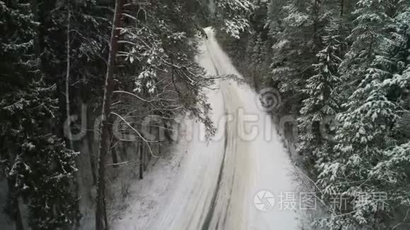 鸟瞰冬季雪林.