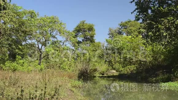 美丽的河流国家公园，印度