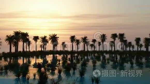 带岛和棕榈树的海上日落视频