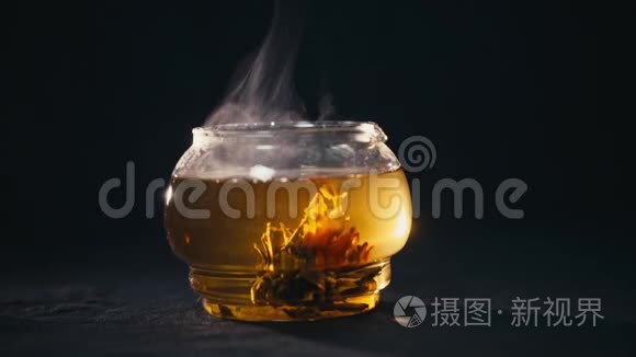 绿茶花在玻璃茶壶中绽放视频