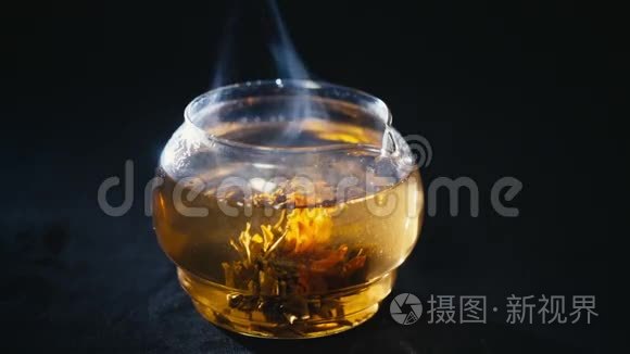 绿茶花在玻璃茶壶中绽放视频