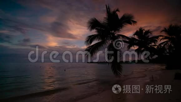 日出覆盖热带岛屿海滩和棕榈树。 多米尼加共和国