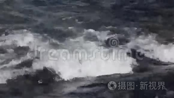 春天河水在流视频