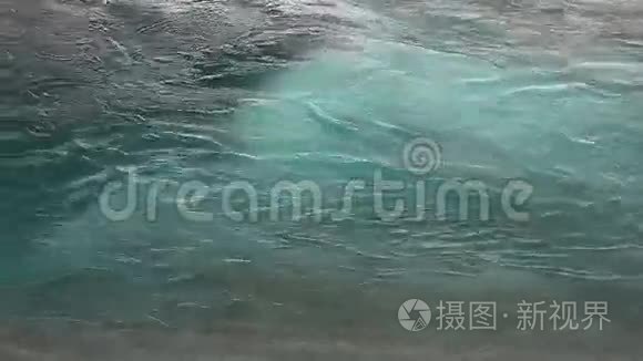 春天河水在流视频