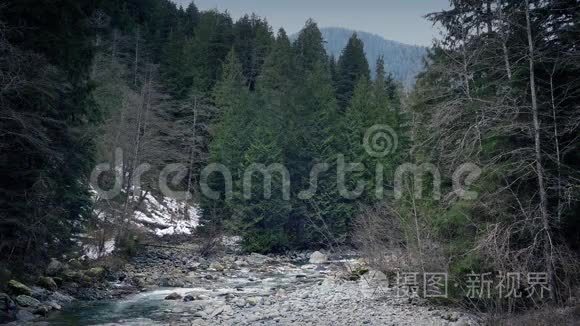 荒野中的河流景观视频