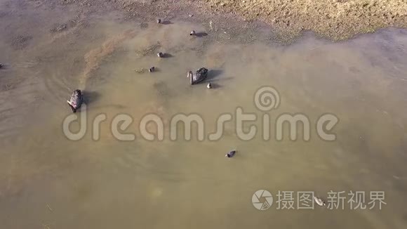 白天昆士兰州莫格拉湖视频