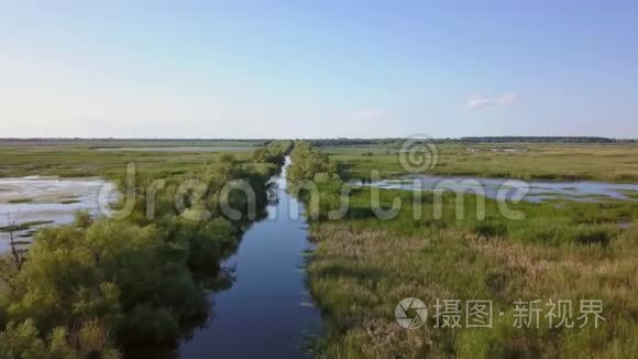 多瑙河三角洲湿地鸟瞰图视频