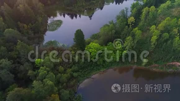 清晨在雾蒙蒙的湖面上飞翔视频