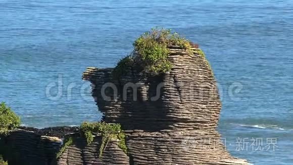 新西兰南部岛屿西海岸的煎饼岩视频