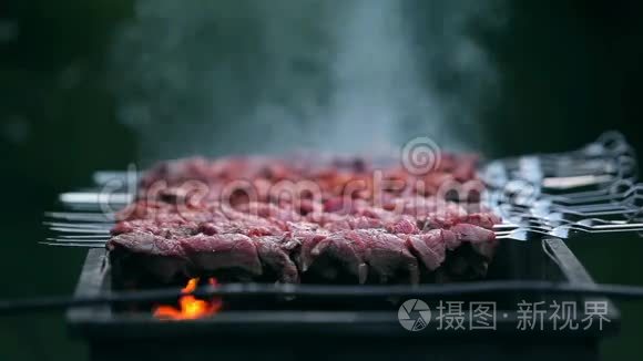 在火上烹调的美味肉视频