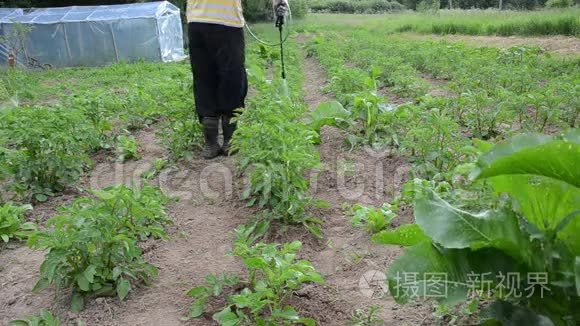 农民喷雾植物视频