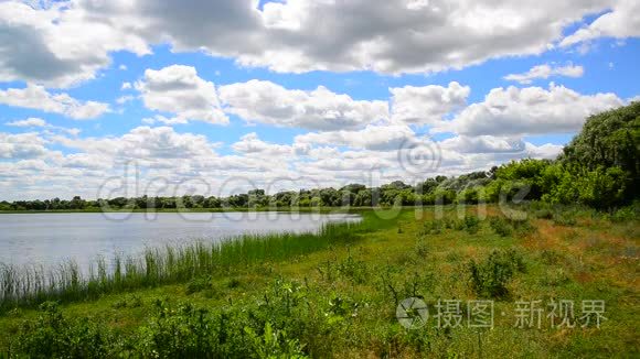 俄罗斯中部有湖泊的夏季景观视频