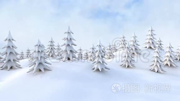 冬天的圣诞森林视频