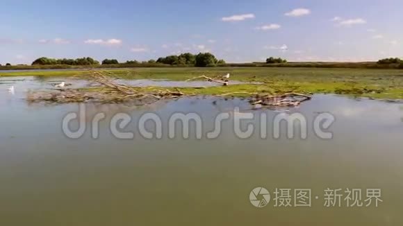 多瑙河三角洲湿地在运动视频