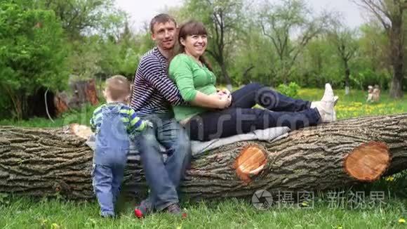一家人坐在树上视频
