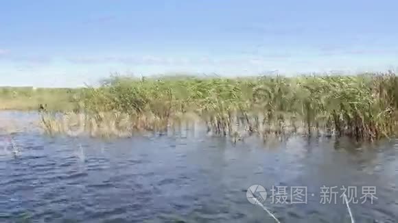 多瑙河三角洲湿地在运动视频