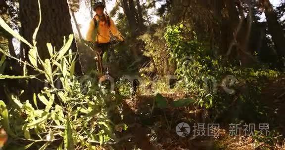 在森林里骑马的女登山运动员视频