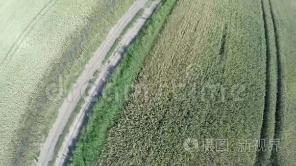 农村农田道路和农田的鸟瞰图视频