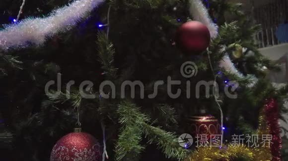 圣诞树的圣诞及新年装饰
