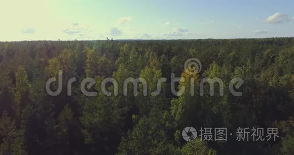 空中观景台。 飞过森林里美丽的秋树.. 空中摄影机拍摄。