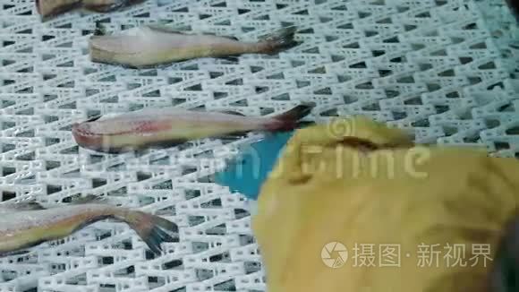 鱼类和海鲜加工厂视频