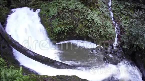 北加利福尼亚的瀑布视频