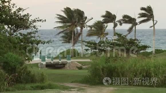 波浪在热带海水上