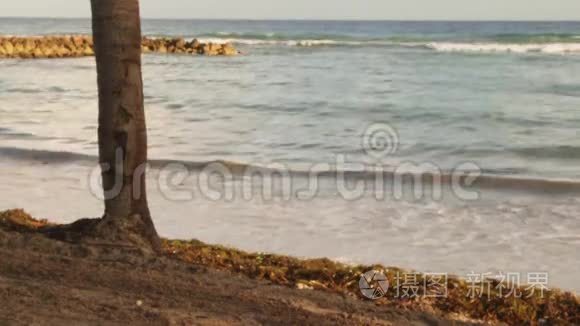 波浪在热带海水上