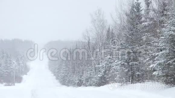 寒冷的冬天里有暴风雪视频