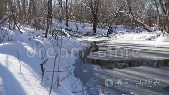 森林景观溪流流淌在冬季森林自然雪中，