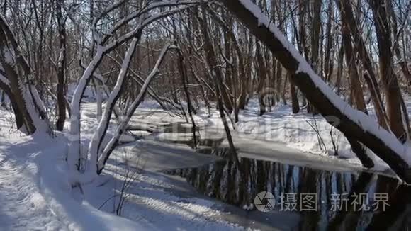 冬季森林自然雪中的林流景观视频