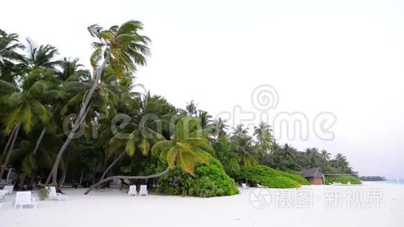 热带白色沙滩，棕榈树