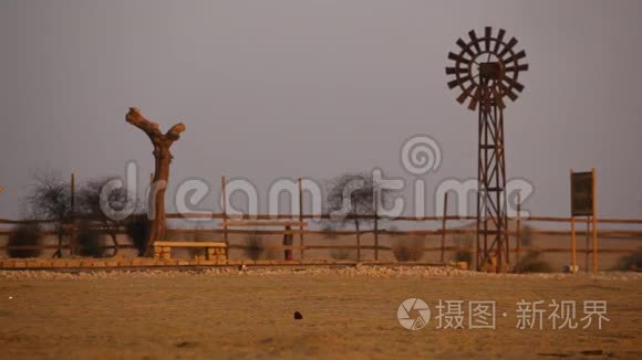 印度拉贾斯坦邦沙漠火车站视频