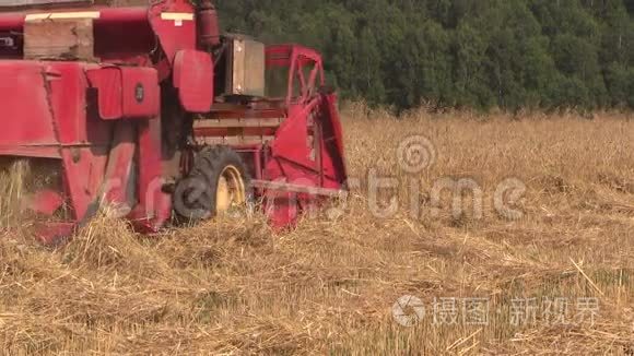 农业联合收割机割熟小麦粮田视频