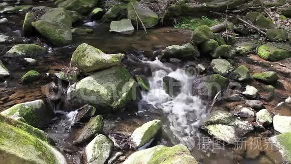 河流流过原始森林中的巨石视频