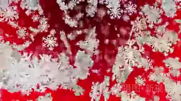 飞雪花上红.