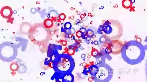 红色和蓝色的性别符号图标视频